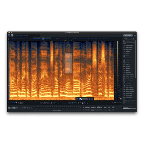 IZotope RX Elements 2025 Free Online
