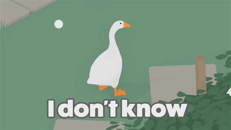 Desktop Goose Download Cracked
