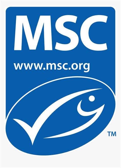 MSC MARC 2024.1 Full